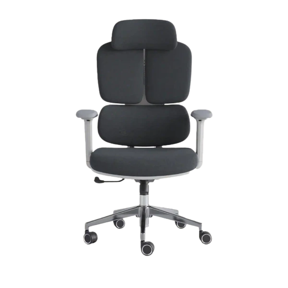 Ergonomic SmartSpine A15-Black Office Chair